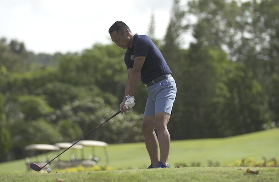 Pharaoh JP (Calibration Model)