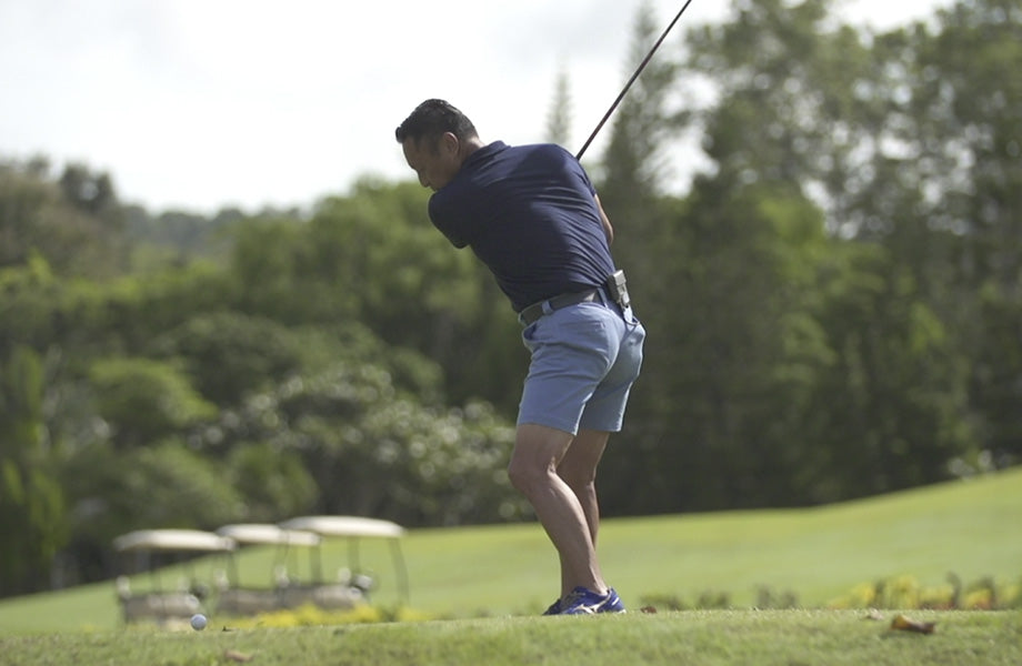 Pharaoh JP (Calibration Model)